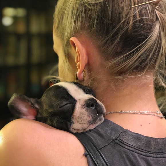 Meet your Posher, Jordan - Picture 2 of 8